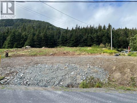 286-290 Main Street Clarkes Beach NF A0A1W0