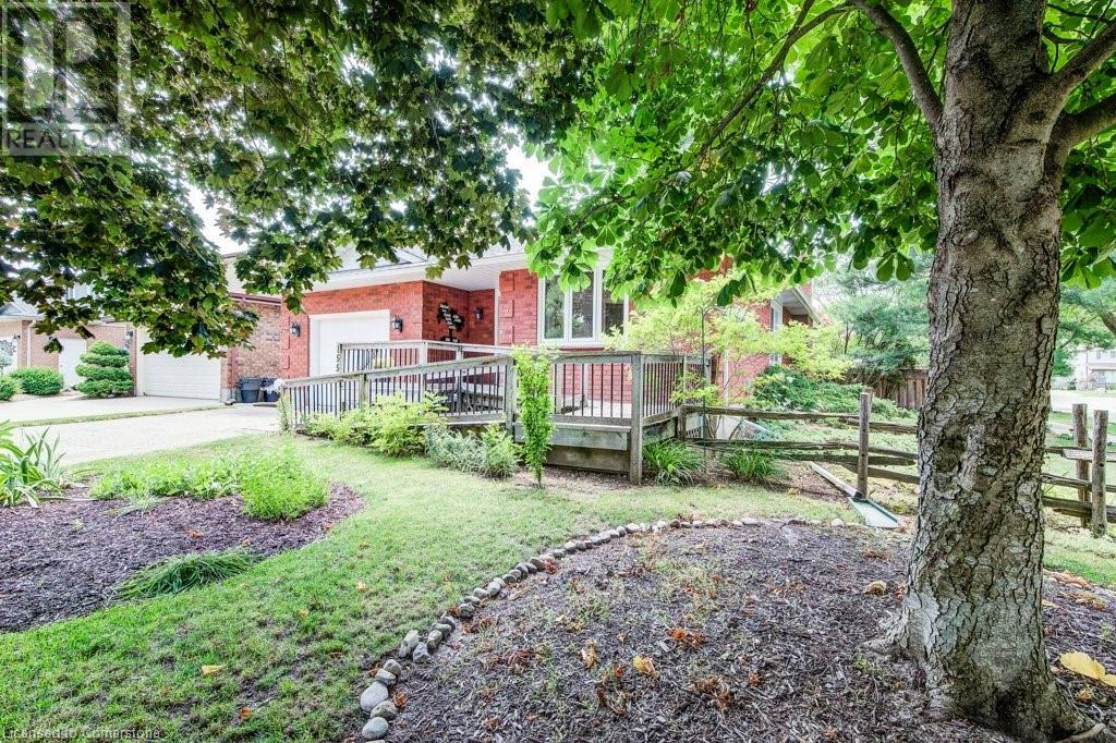155 MAYBERRY Court