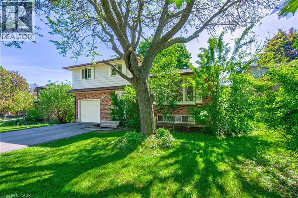 164 WHITE PINE Crescent