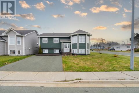 13 Plover Street St. John's NF A1B0C3