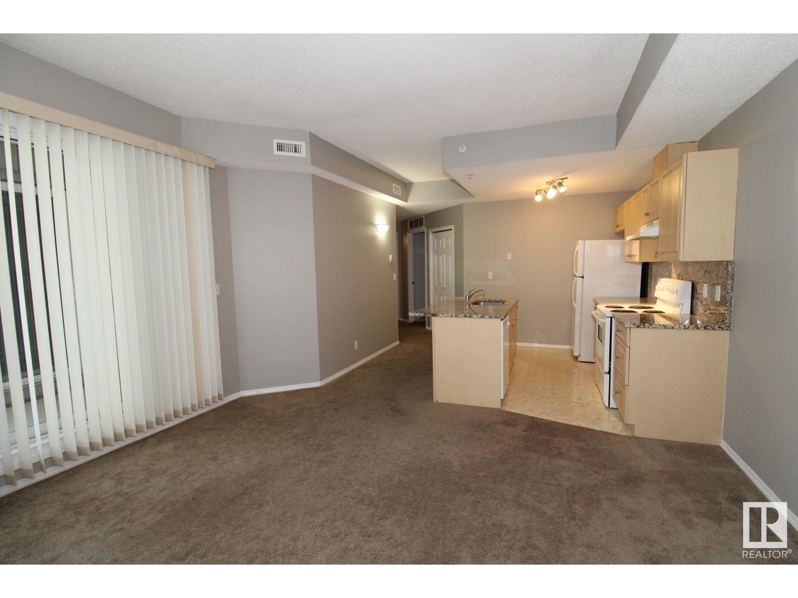 #404 11103 84 AV NW
