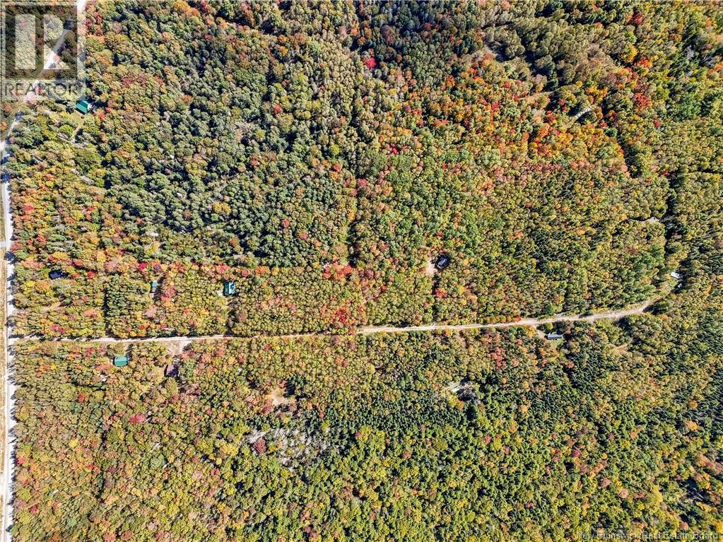 LOT Gullison Lane - Photo 3