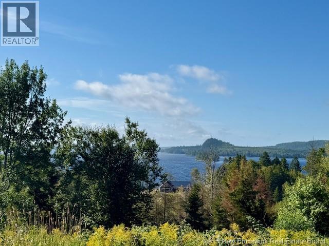 Photo 1 of 11 — 1191 137 Route 785, Utopia, NB E5C2L3