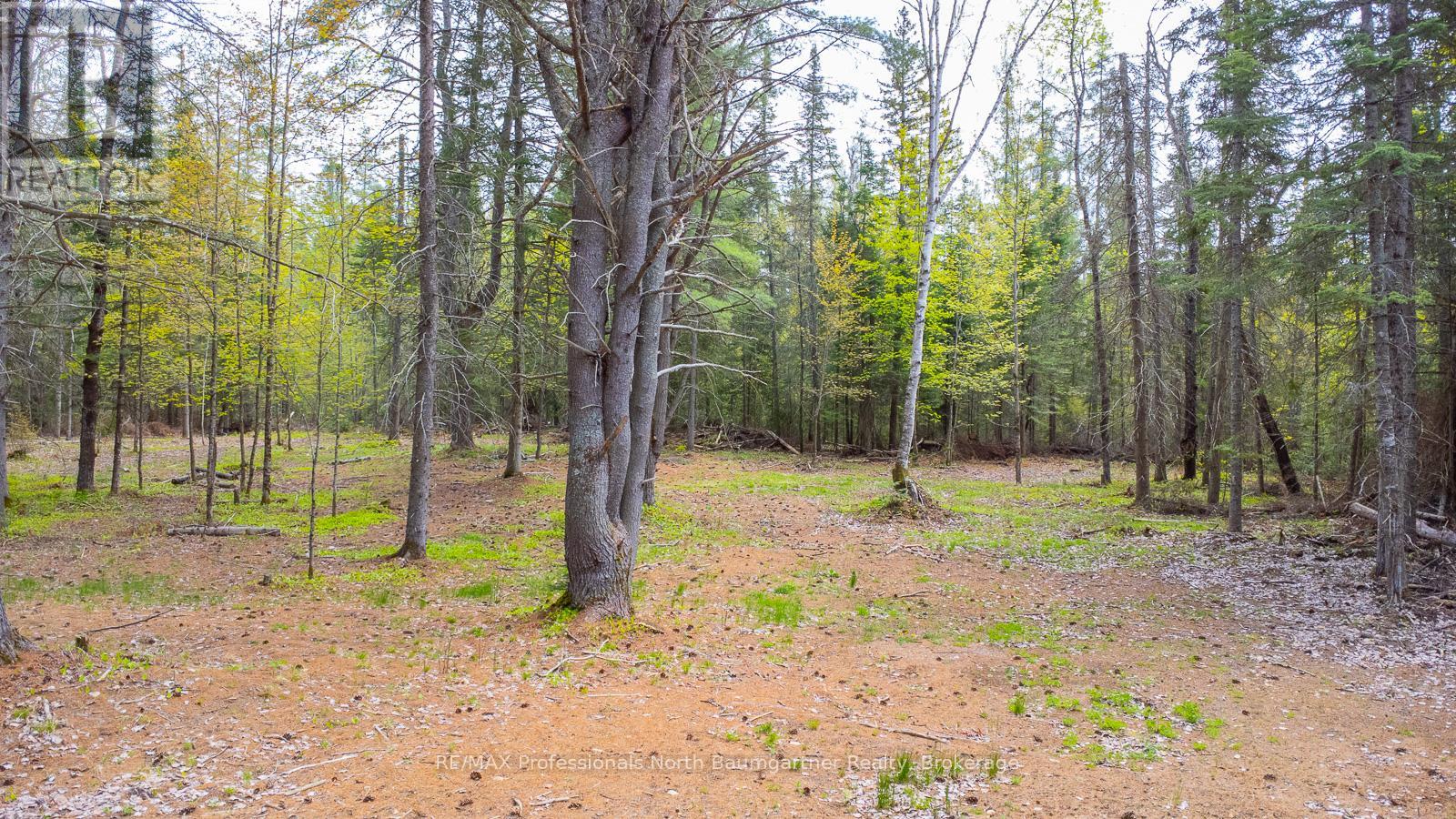 PT11-12 HALIBURTON LAKE ROAD