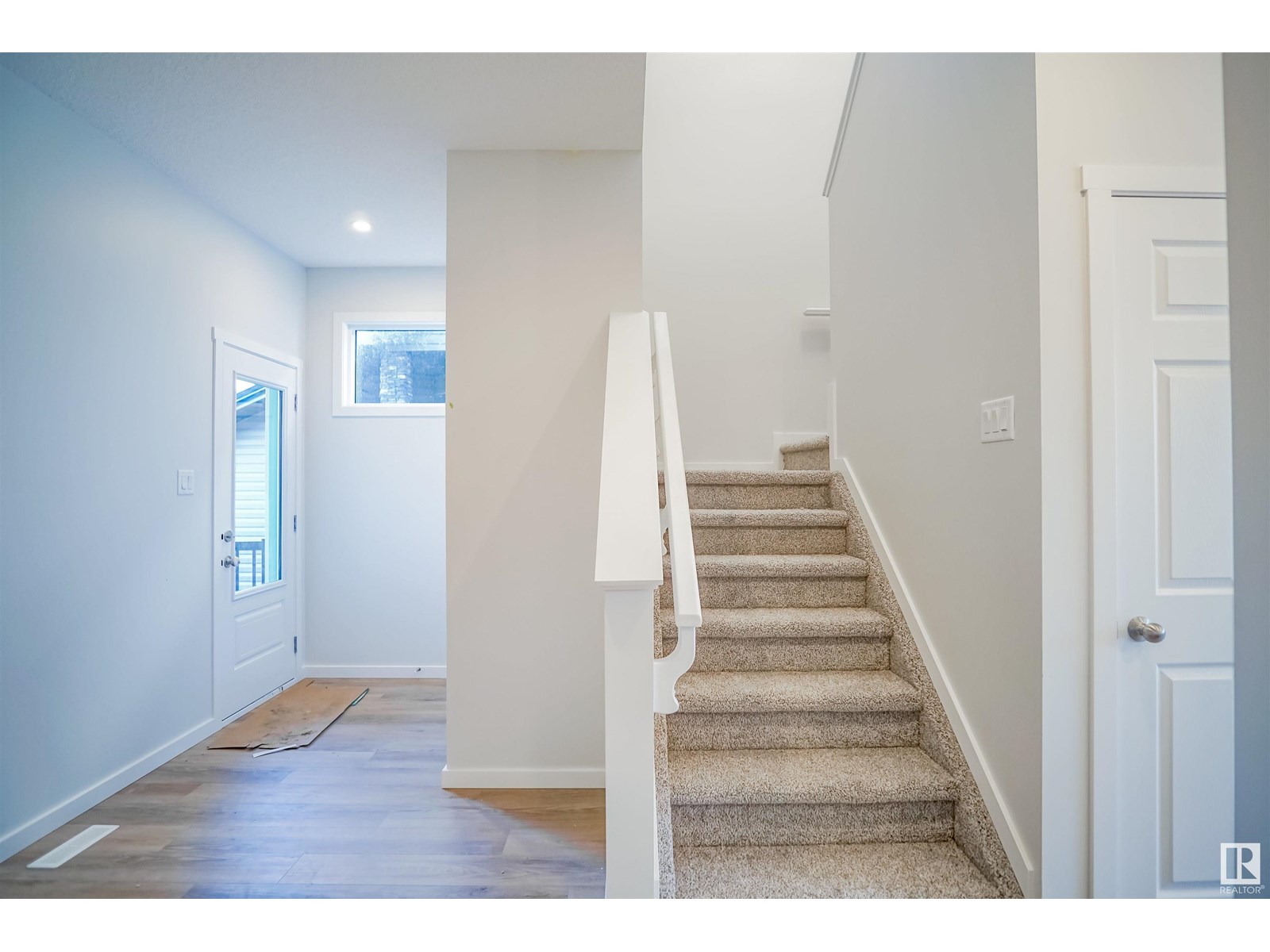 111 Ficus WY