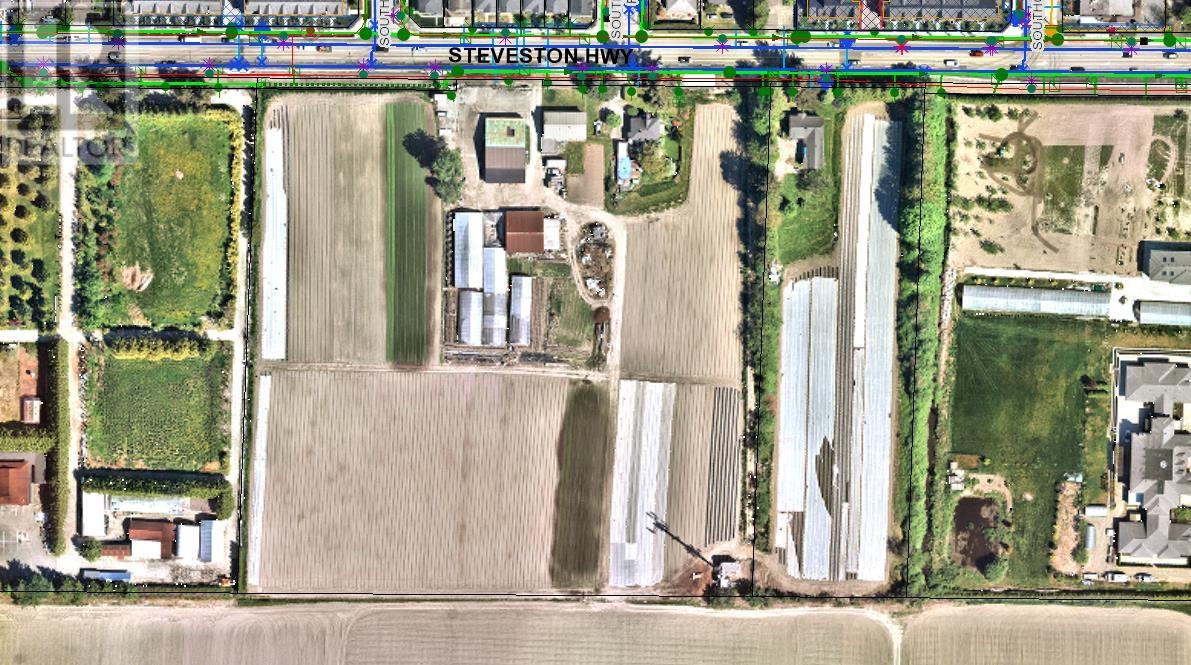 9520 STEVESTON HIGHWAY