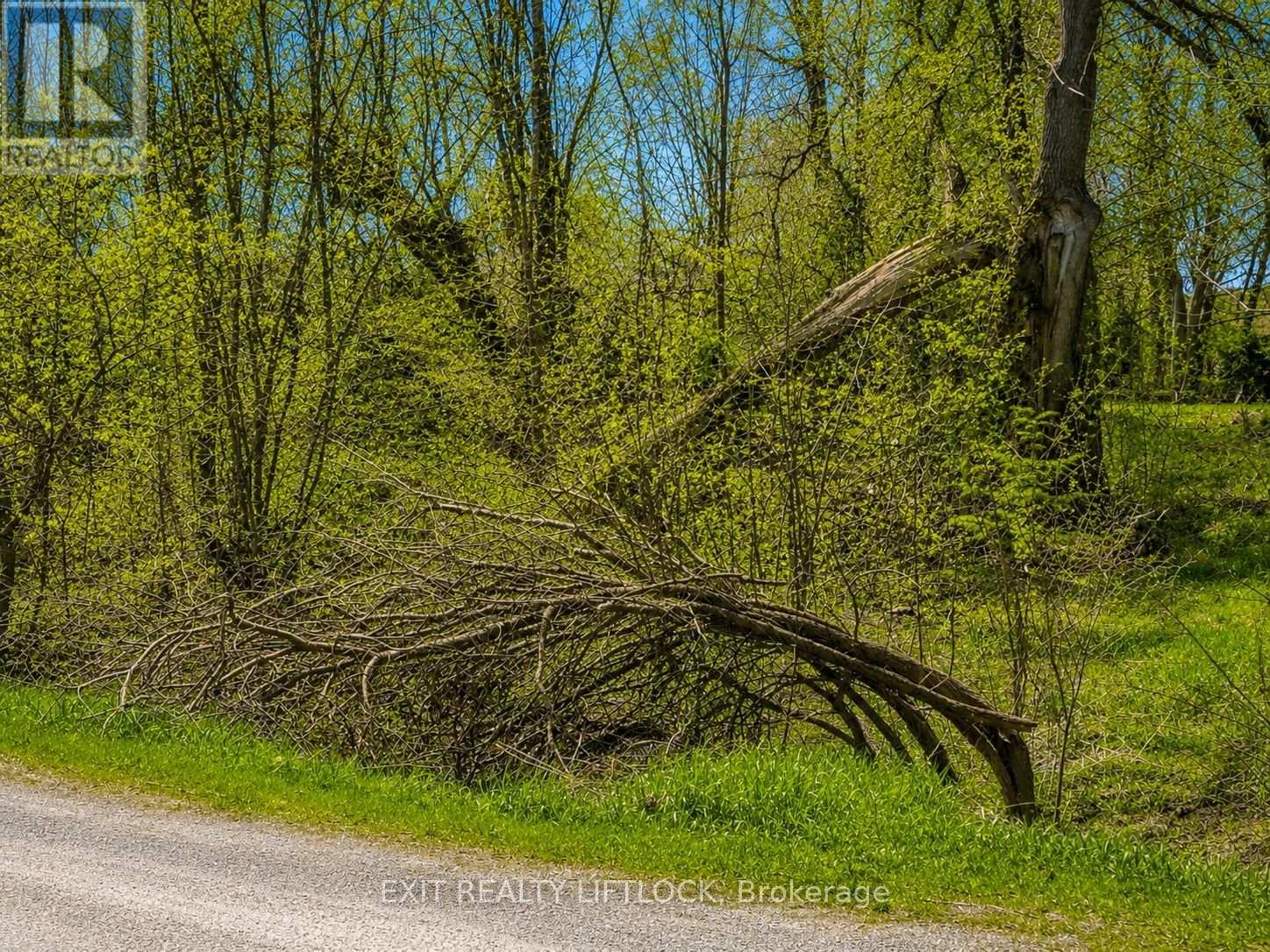 0 MAPLE RIDGE DRIVE - Photo 3