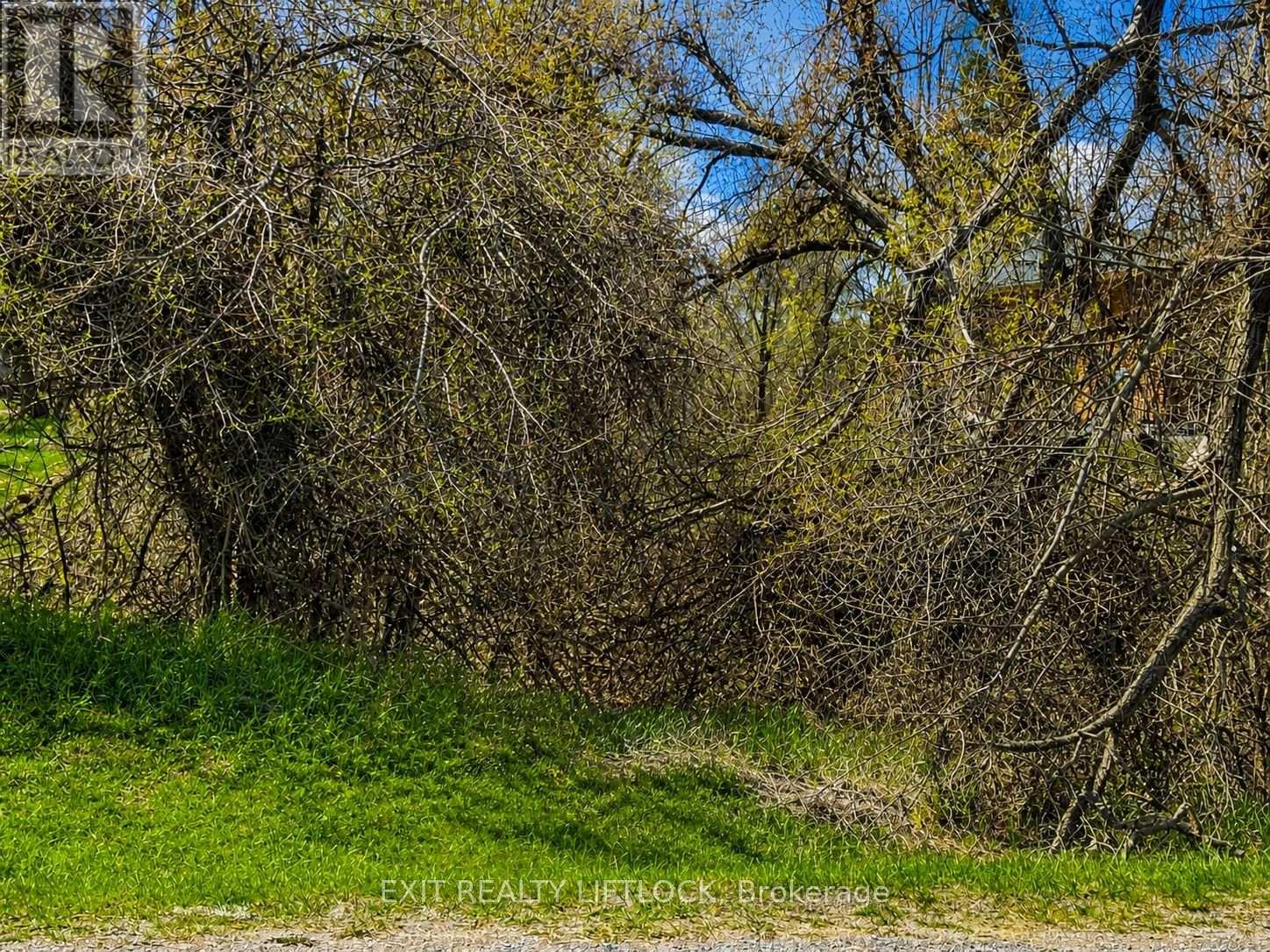 0 MAPLE RIDGE DRIVE - Photo 2