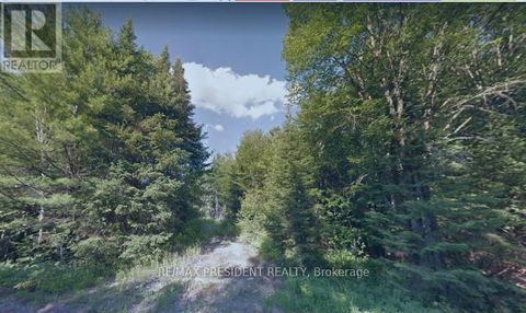 340 STEPHENSON ROAD W Huntsville (Stephenson) ON P0B1M0