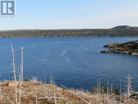 210-220 Point Road Chapel's Cove NF A0A1V0