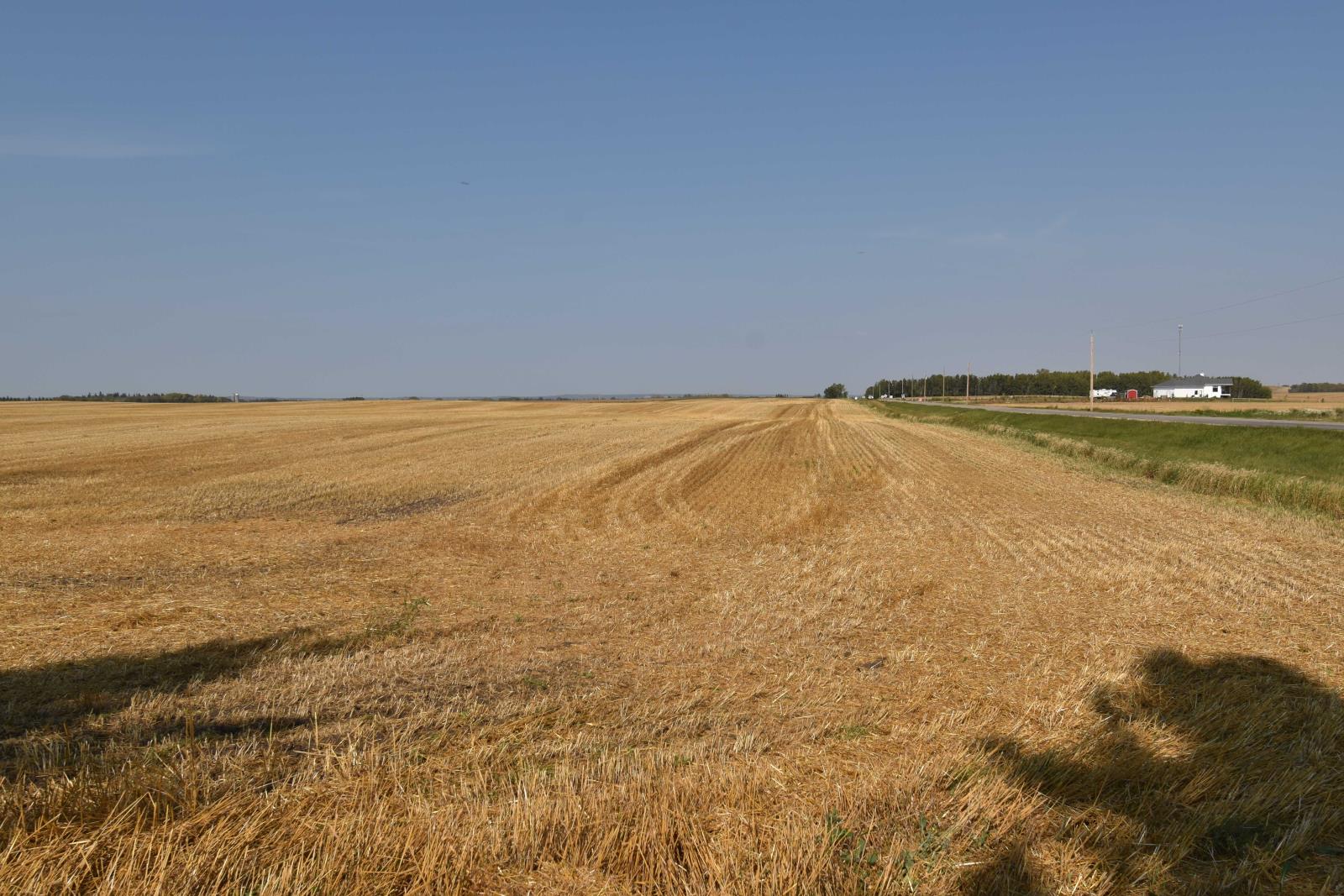 Rge Rd 274 and Twp Rd 523