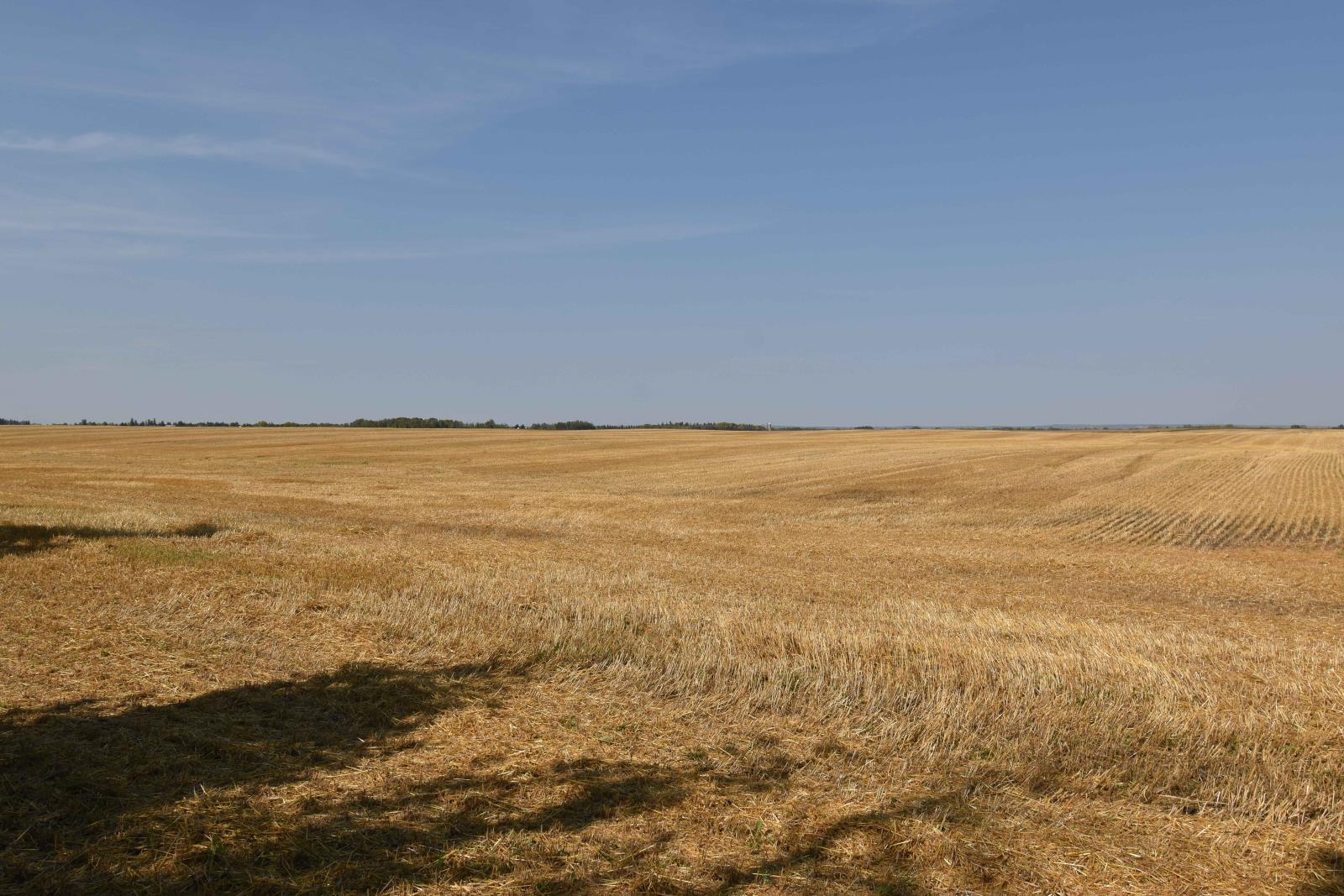 Rge Rd 274 and Twp Rd 523