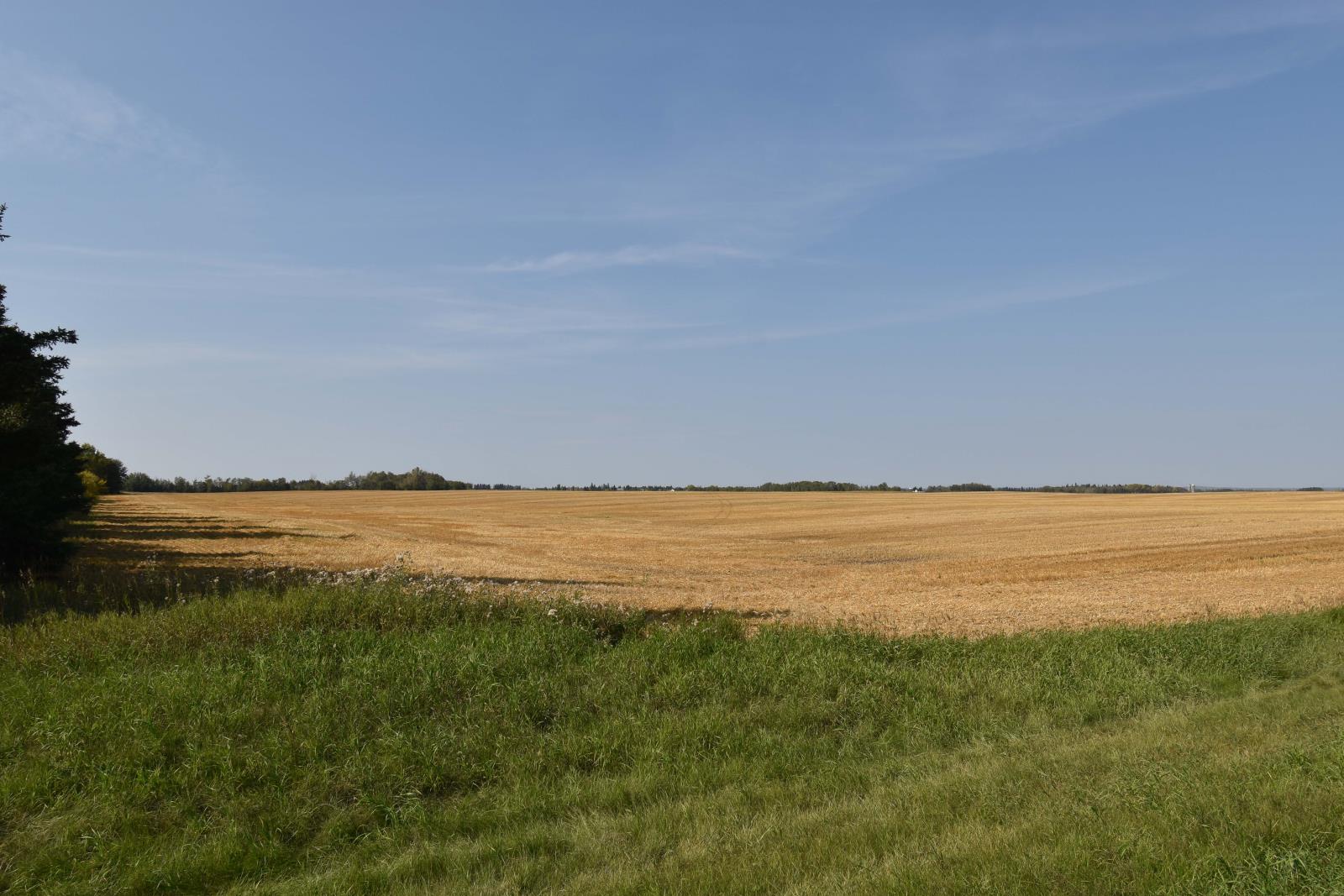 Rge Rd 274 and Twp Rd 523