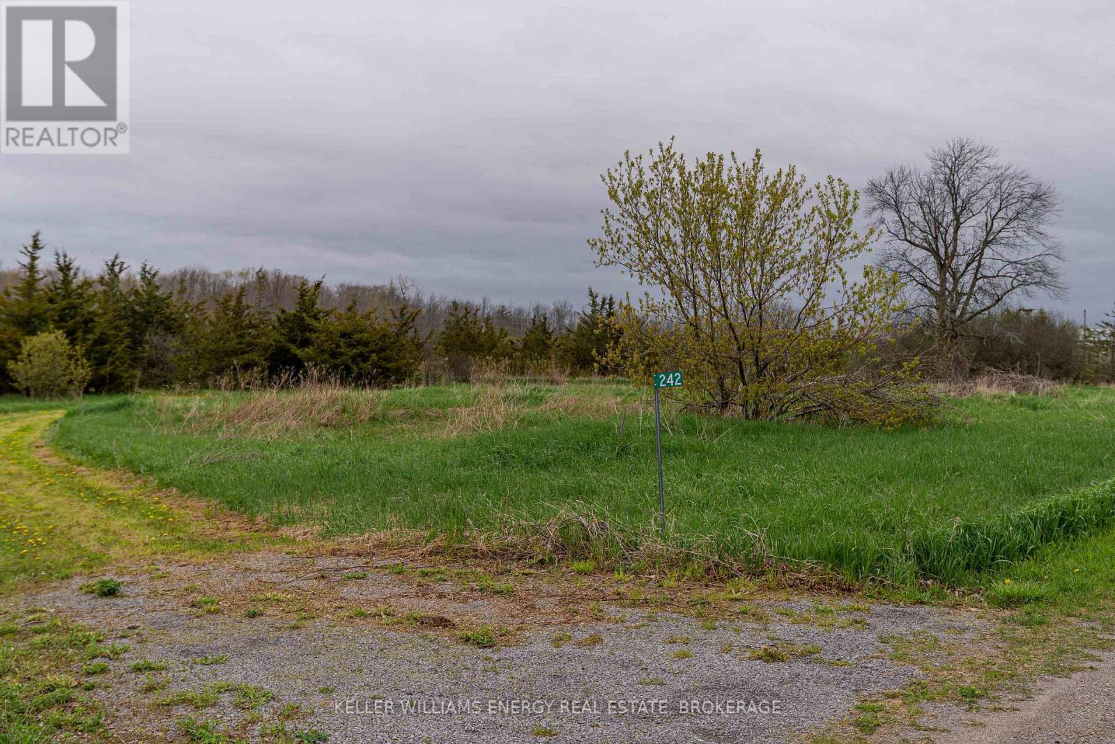 242 KELLY ROAD
