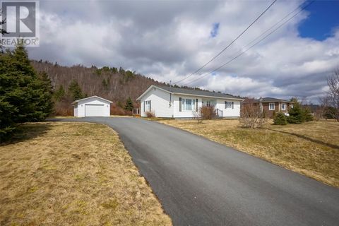 17 Paynes Road Bay Roberts NF A0A1G0