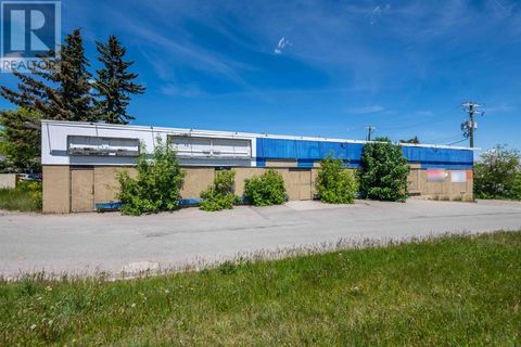 3902 17 Avenue SW Calgary AB T3C1T8