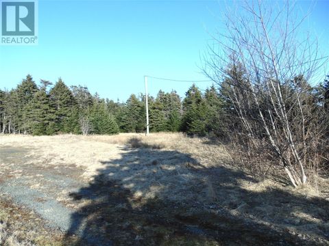 19 Dobbin's Road Bell Island NF A0A4H0