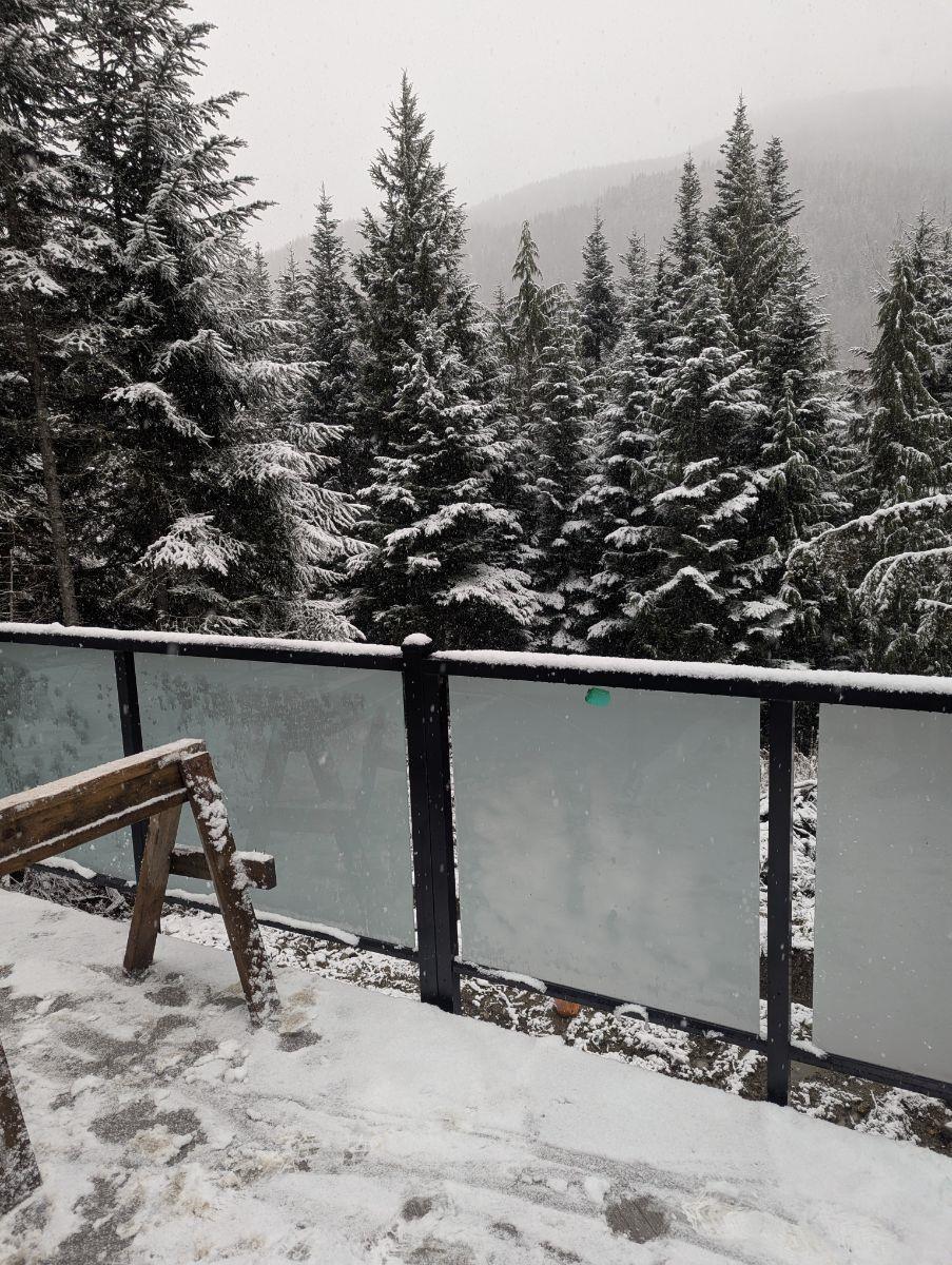 20458 EDELWEISS DRIVE