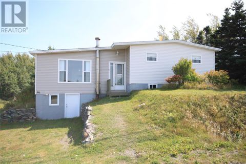 80 Main Road Brownsdale NF A0B1H0