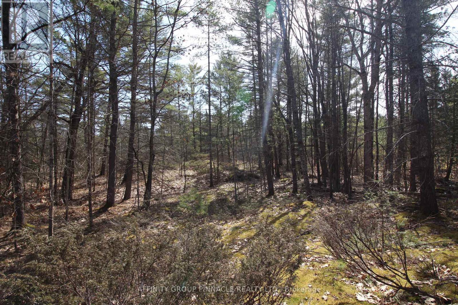 Photo 1 of 16 — LOT 15 CONCESSION 9, Trent Lakes, ON K0L1J0