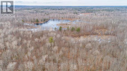 1446 FLINTON ROAD Tweed (Elzevir (Twp)) ON K0H1P0