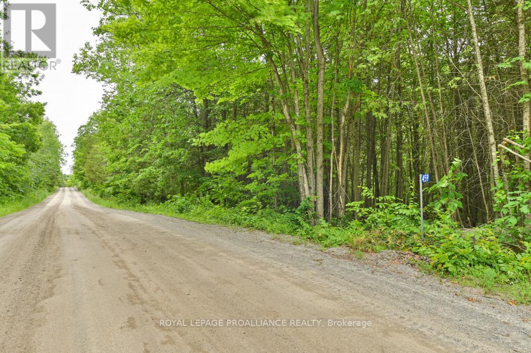 459 MEEKS ROAD
