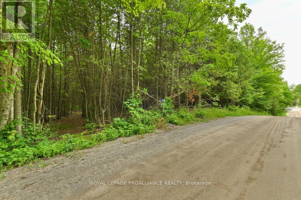 459 MEEKS ROAD