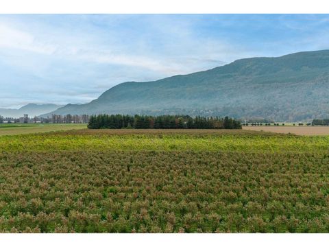 3387 TOLMIE ROAD Abbotsford BC V3G2T9