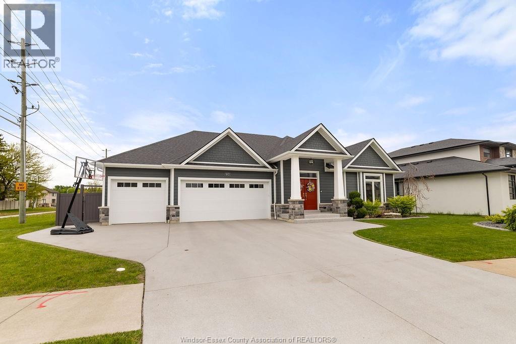 6072 Silver Maple