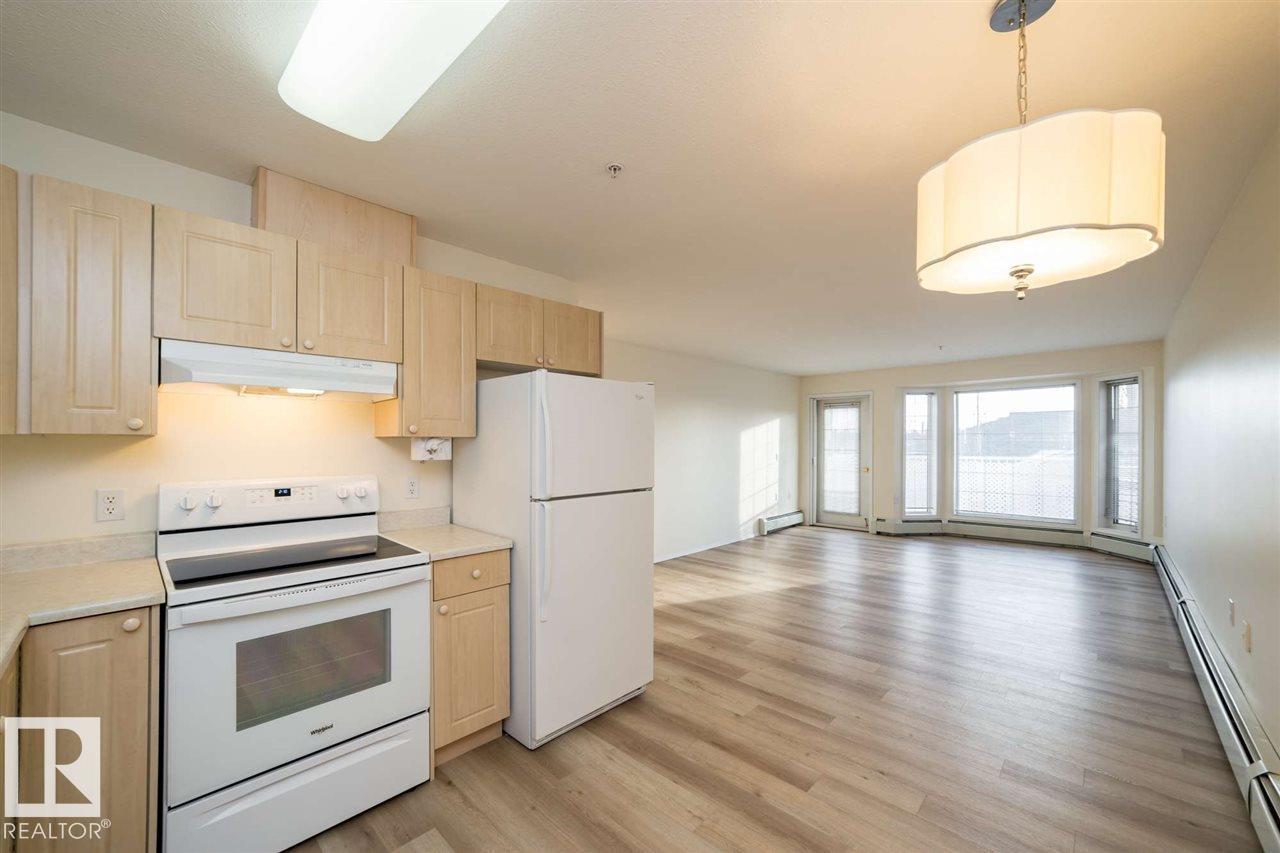 #252 13441 127 St NW