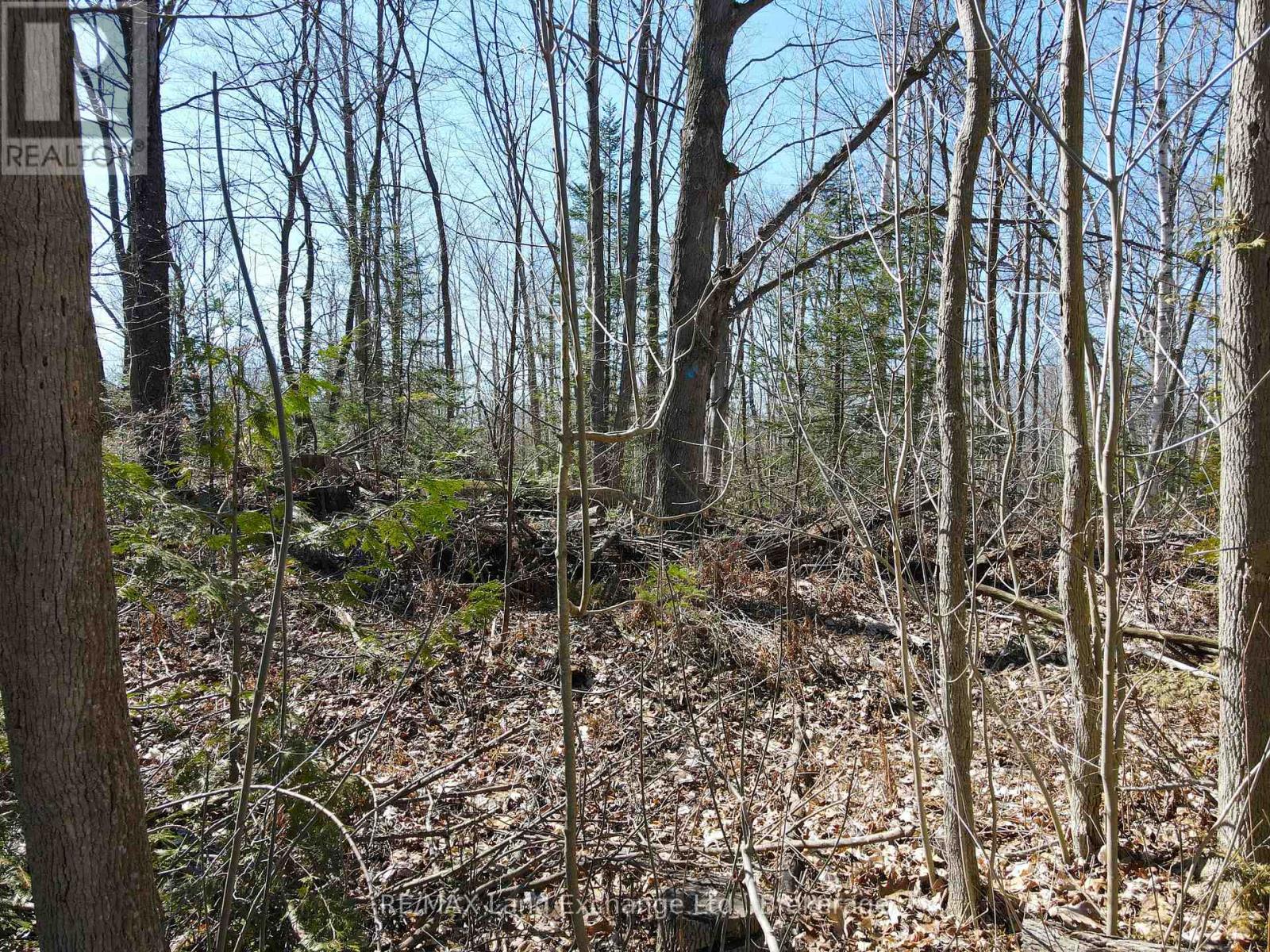 83 SILVER LAKE CRESCENT