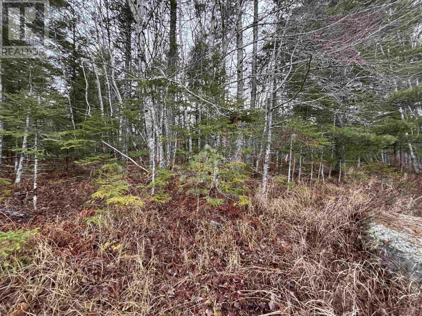 Lot 3-23 Highway 325