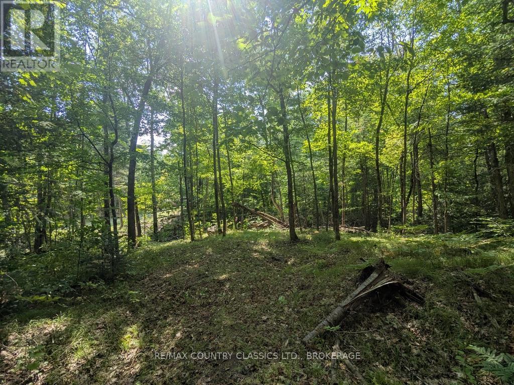 1251 BUCKSHOT LAKE ROAD