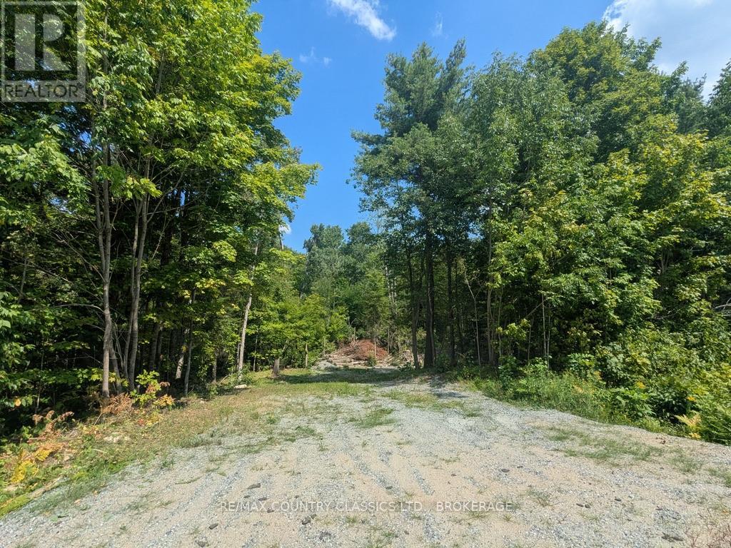1251 BUCKSHOT LAKE ROAD