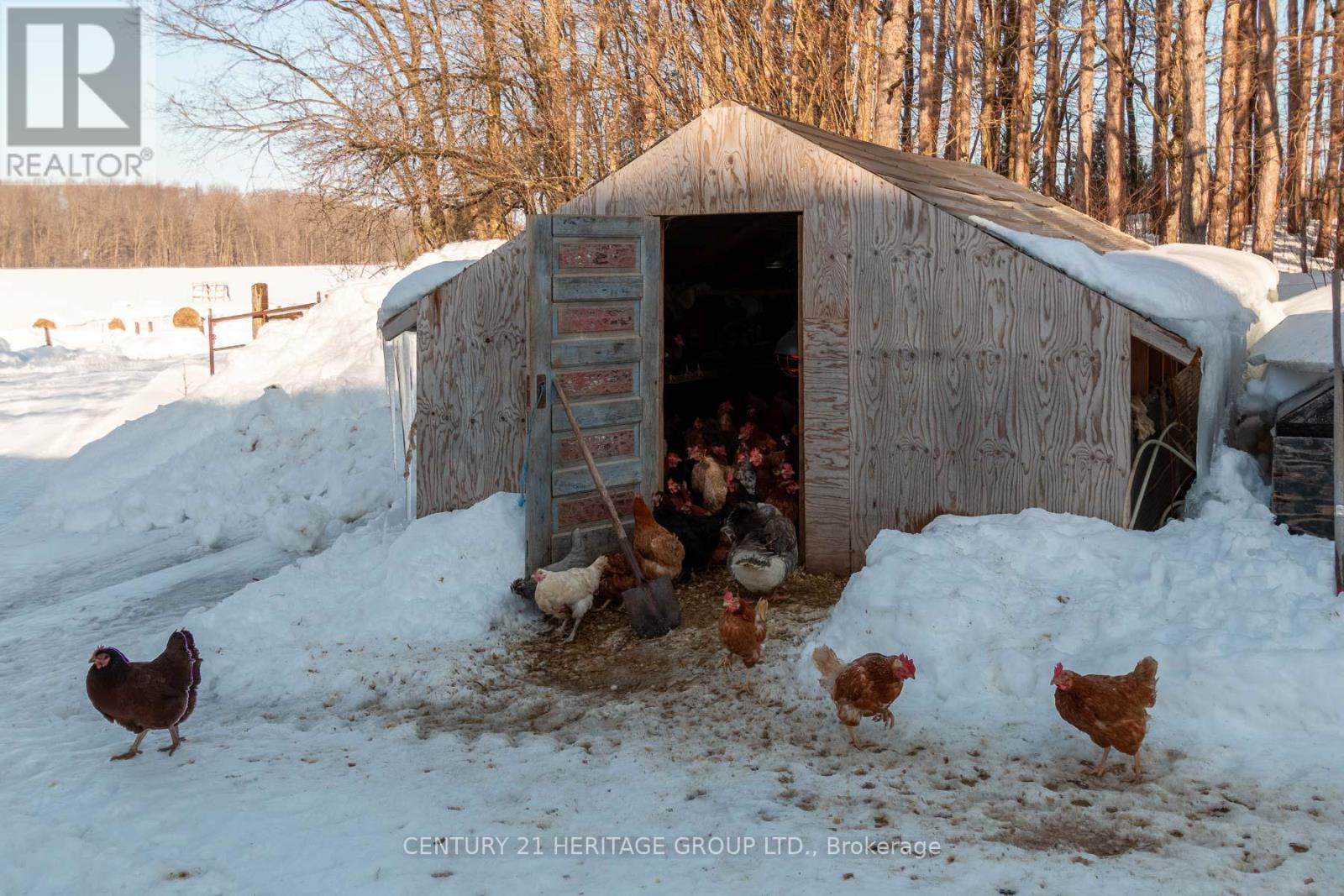 797177 EAST BACK LINE