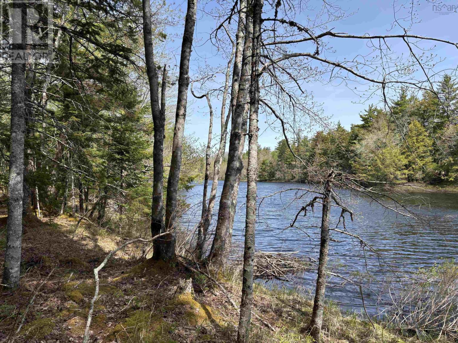Lot 3-23 Highway 325 - Photo 2