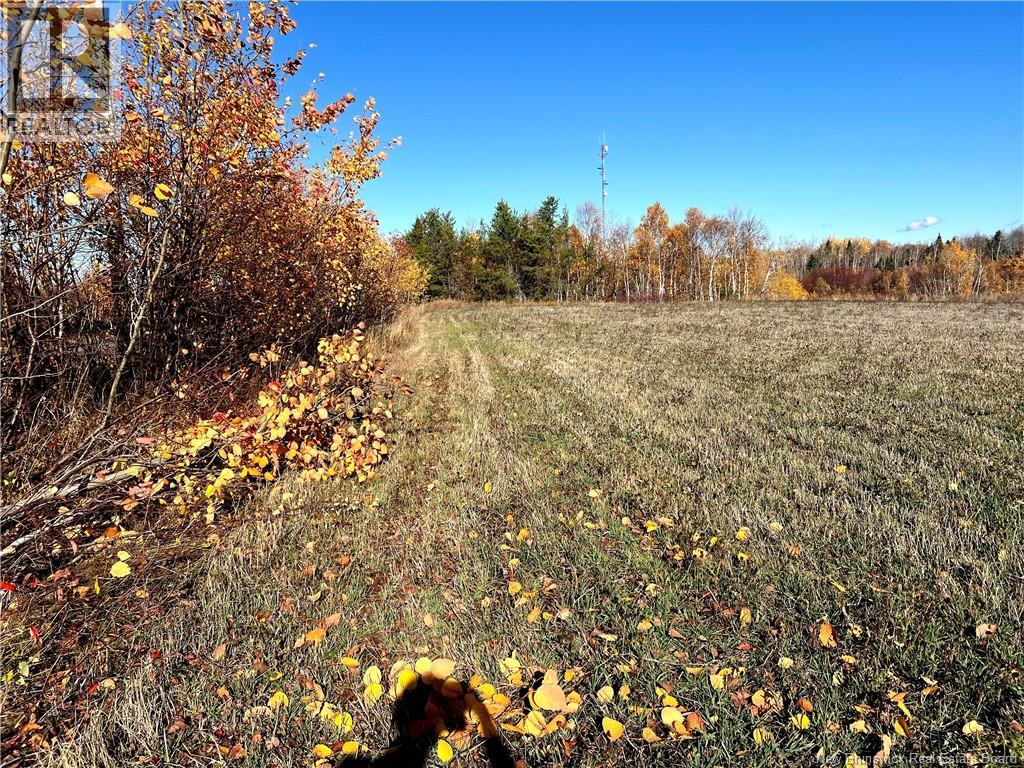Photo 1 of 7 — 3 acres ch Eustache Hache, Saint-Isidore, NB E8M1G7