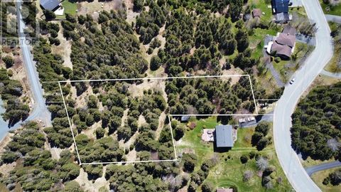 66 a Alberta Drive Harbour Grace NF A0A2M0