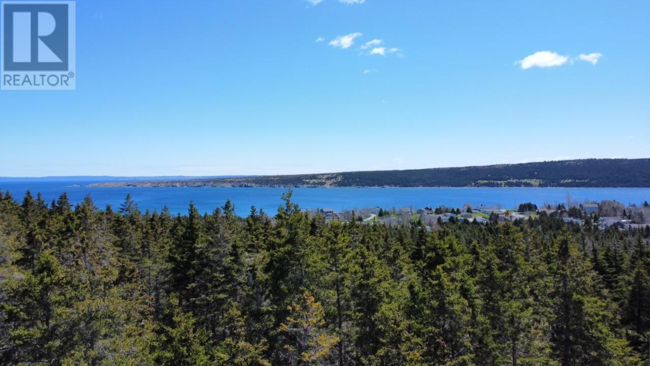 66 a Alberta Drive