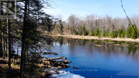 1025 520N HIGHWAY Whitestone ON P0A1G0