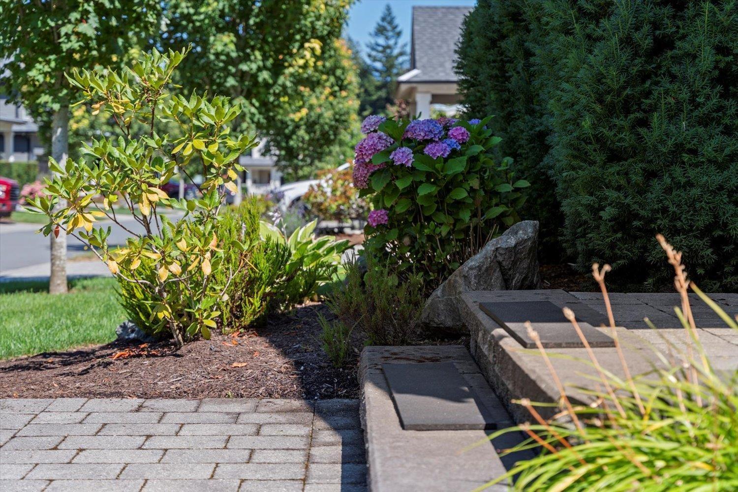 43325 CREEKSIDE CIRCLE|Cultus Lake South