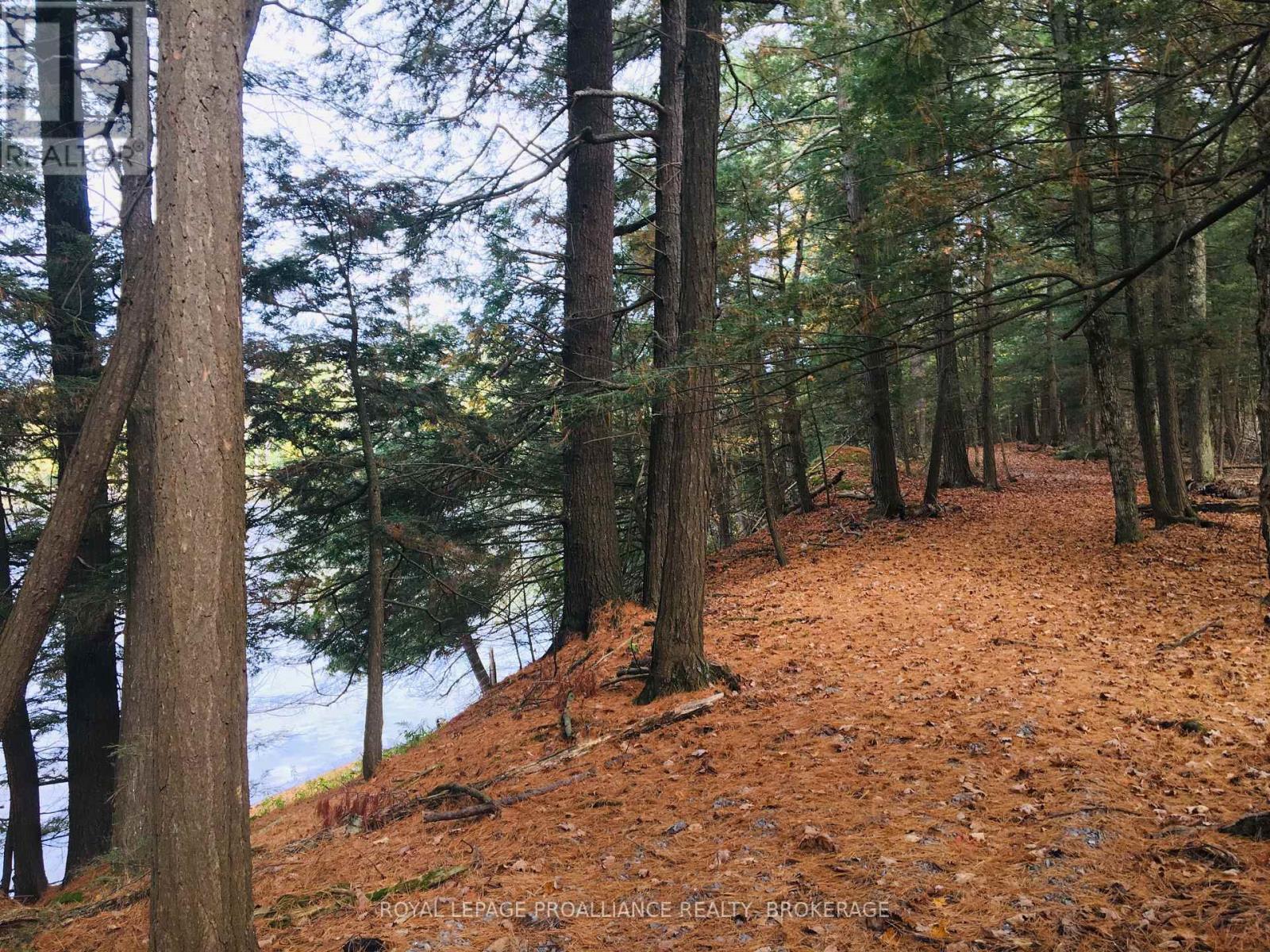 LOT 11 LONG REACH LANE