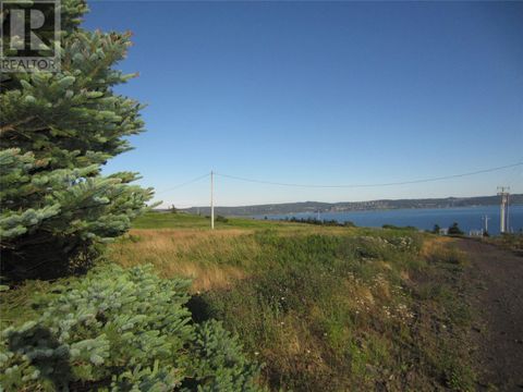 143-151 Steve Neary Boulevard Wabana, Bell Island NF A0A4H0