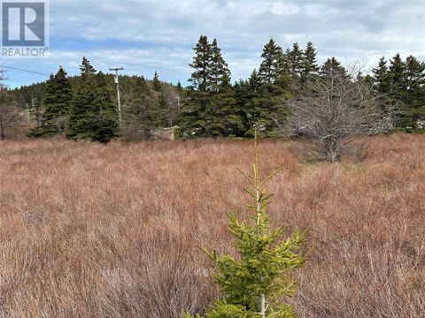 178-208 Conception Bay Highway Avondale NF A0A1B0
