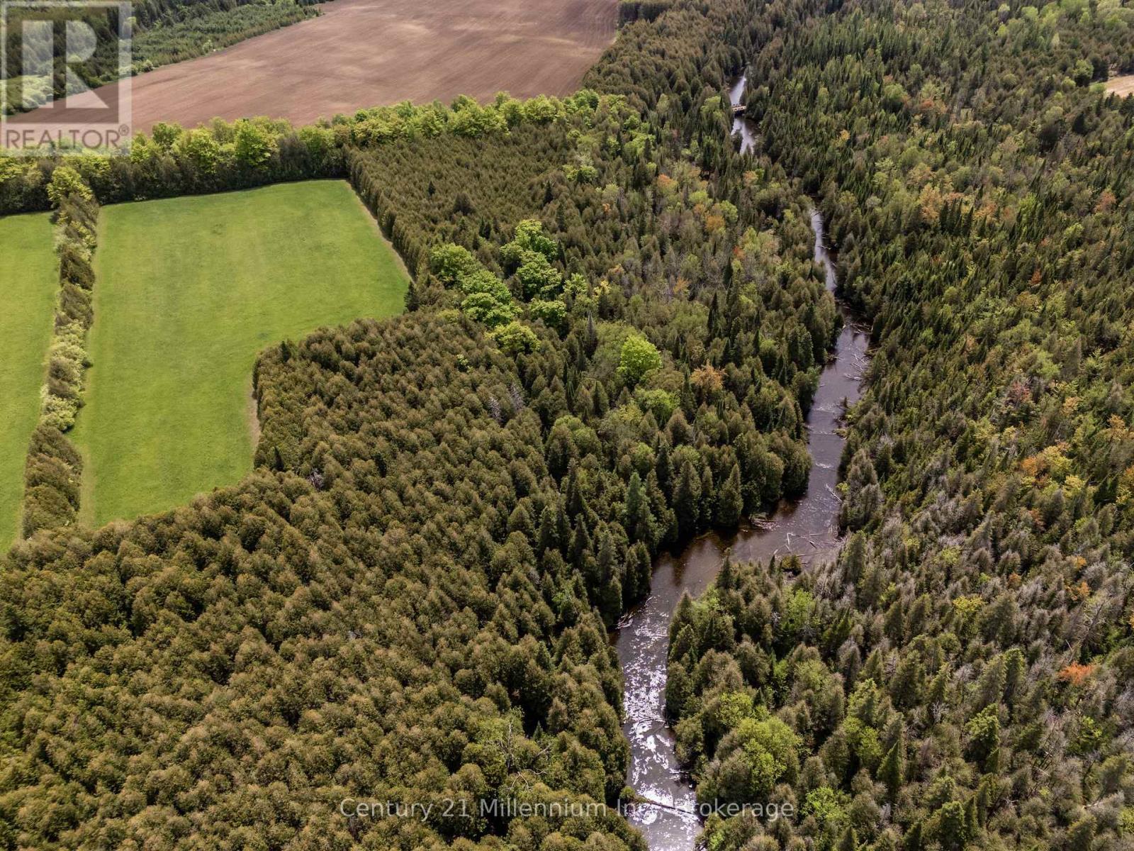 525197 ARTEMESIA-EUPHRASIA TOWNLINE