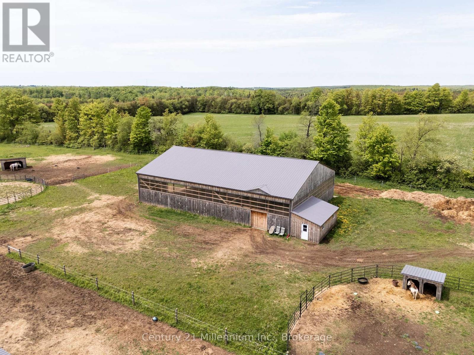 525197 ARTEMESIA-EUPHRASIA TOWNLINE