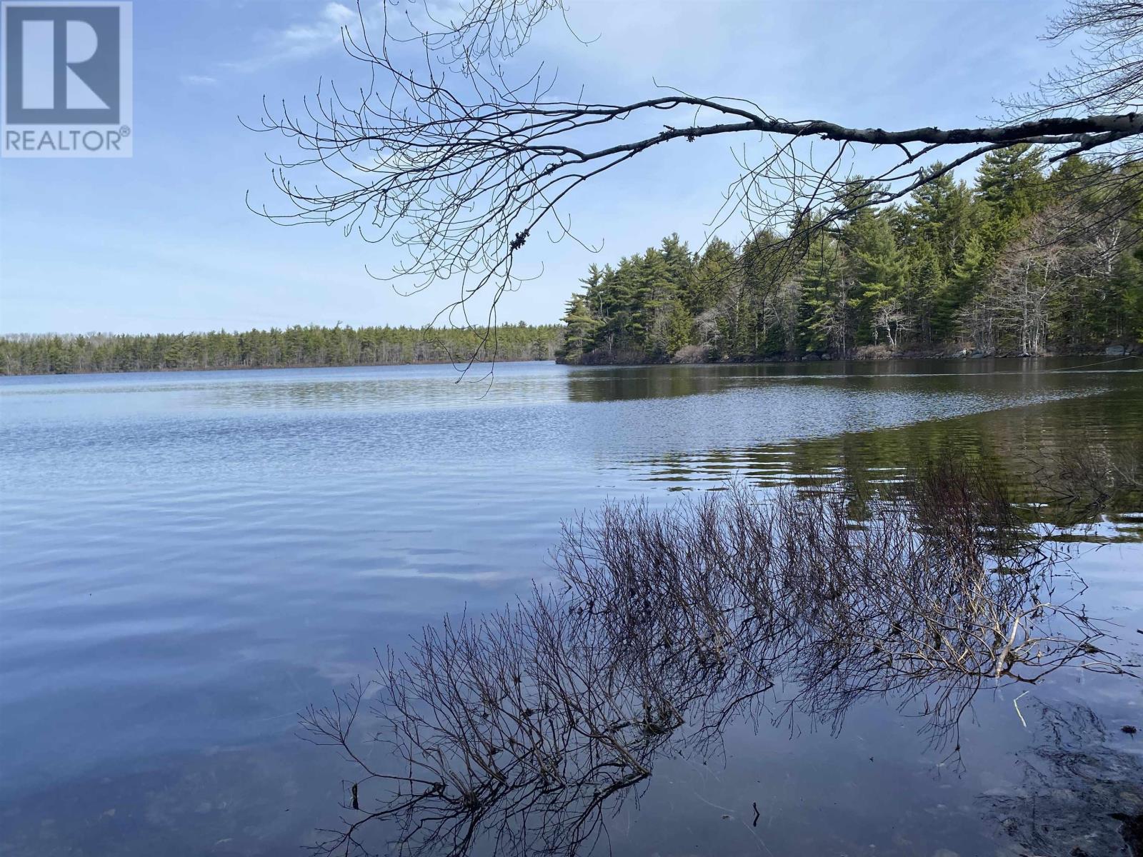 Lot 16 Shingle Lake Road - Photo 4