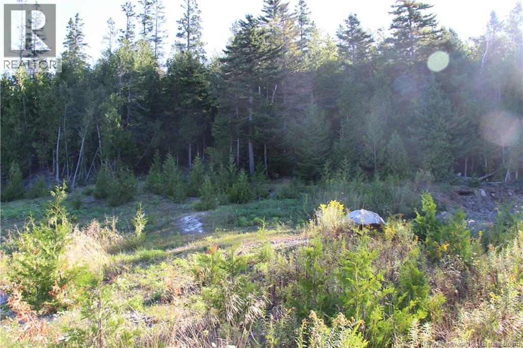 Lot C-9/10 Shoreline Drive - Photo 4