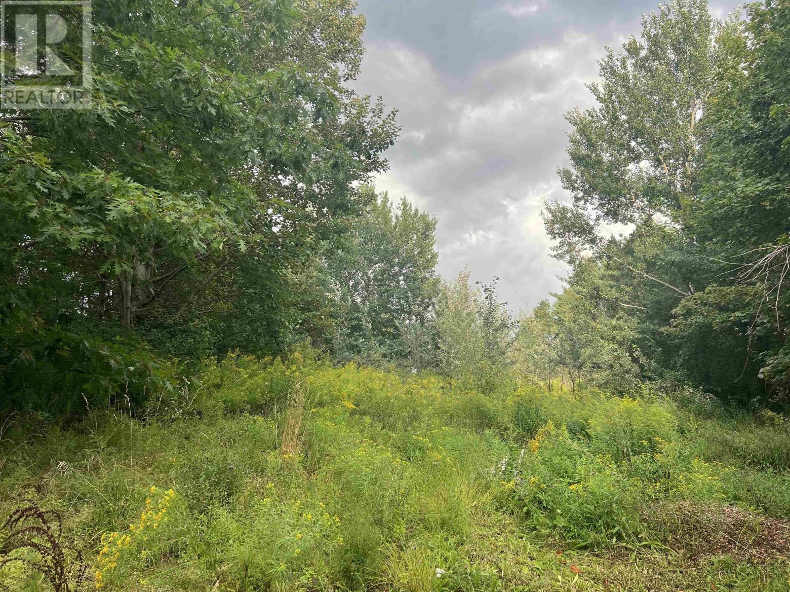 Vimy Road