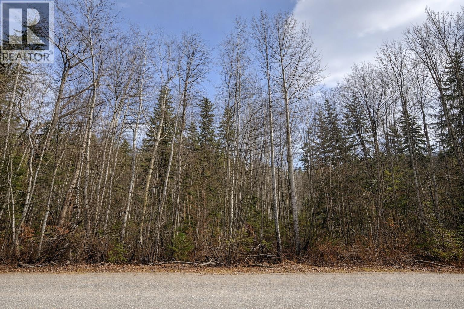 LOT 1 S CANIM LAKE ROAD
